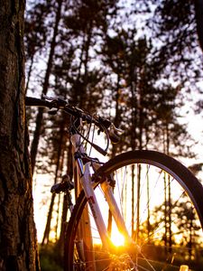Preview wallpaper bicycle, sunlight, summer