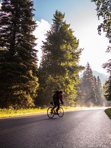 Preview wallpaper bicycle, tourist, cyclist, road, trees