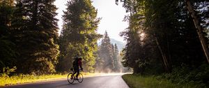 Preview wallpaper bicycle, tourist, cyclist, road, trees