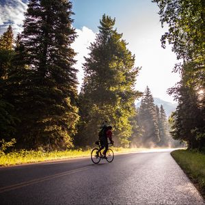 Preview wallpaper bicycle, tourist, cyclist, road, trees