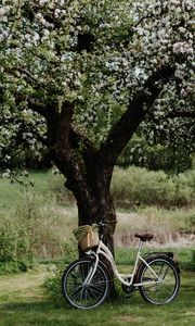 Preview wallpaper bicycle, tree, apple tree, bloom, flowers