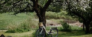 Preview wallpaper bicycle, tree, apple tree, bloom, flowers