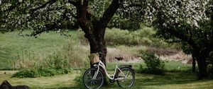 Preview wallpaper bicycle, tree, apple tree, bloom, flowers