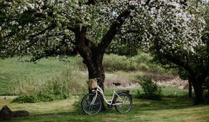 Preview wallpaper bicycle, tree, apple tree, bloom, flowers