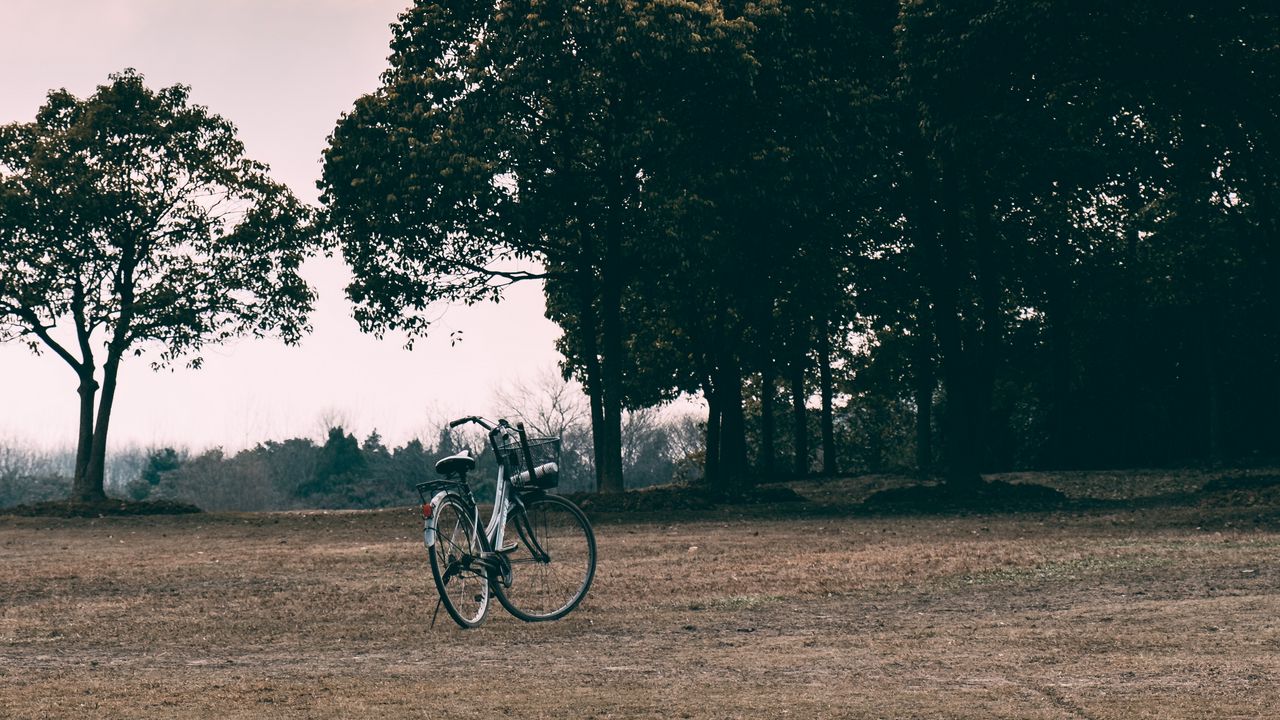 Wallpaper bicycle, trees, grass, clearing, clouds, overcast