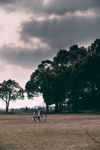 Preview wallpaper bicycle, trees, grass, clearing, clouds, overcast