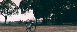 Preview wallpaper bicycle, trees, grass, clearing, clouds, overcast