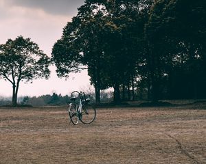 Preview wallpaper bicycle, trees, grass, clearing, clouds, overcast