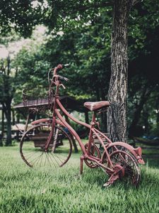 Preview wallpaper bicycle, vintage, decoration, garden