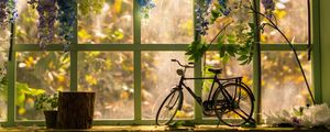 Preview wallpaper bicycle, window, statuette, flowers