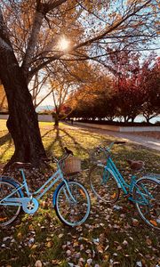 Preview wallpaper bicycles, autumn park, walk