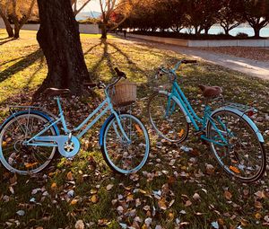 Preview wallpaper bicycles, autumn park, walk