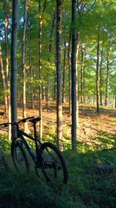 Preview wallpaper bicycles, trees, wood