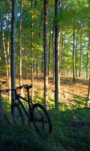 Preview wallpaper bicycles, trees, wood