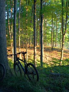 Preview wallpaper bicycles, trees, wood