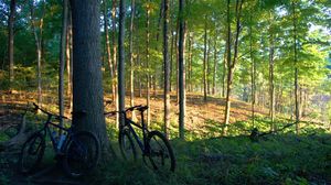 Preview wallpaper bicycles, trees, wood