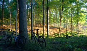 Preview wallpaper bicycles, trees, wood