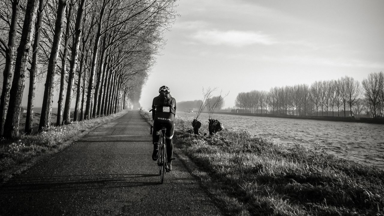 Wallpaper bicyclist, bw, trees, road, traffic