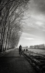 Preview wallpaper bicyclist, bw, trees, road, traffic