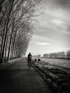 Preview wallpaper bicyclist, bw, trees, road, traffic