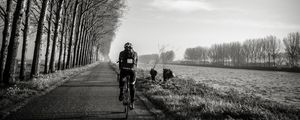 Preview wallpaper bicyclist, bw, trees, road, traffic