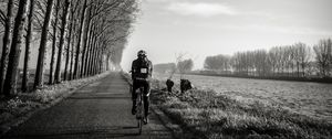 Preview wallpaper bicyclist, bw, trees, road, traffic