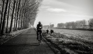 Preview wallpaper bicyclist, bw, trees, road, traffic