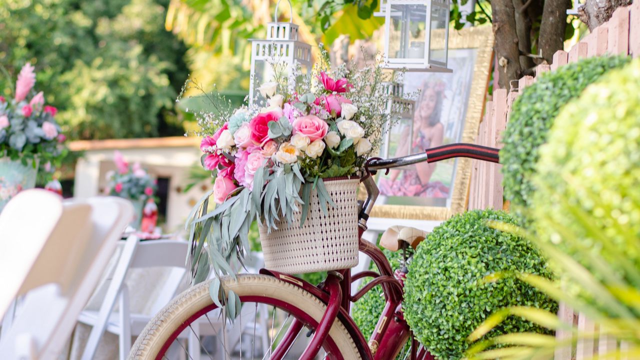 Wallpaper bike, basket, bouquet, flowers, flashlights