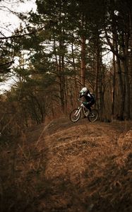 Preview wallpaper bike, cyclist, forest, trees