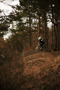 Preview wallpaper bike, cyclist, forest, trees