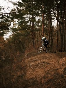 Preview wallpaper bike, cyclist, forest, trees