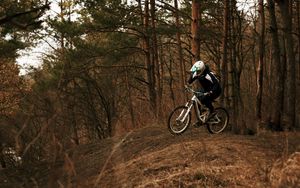 Preview wallpaper bike, cyclist, forest, trees