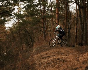 Preview wallpaper bike, cyclist, forest, trees