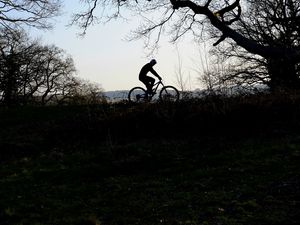 Preview wallpaper bike, cyclist, silhouette, riding, sport, trees, dark