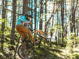 Preview wallpaper bike, cyclist, stunt, forest