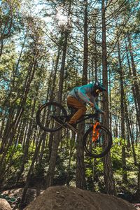 Preview wallpaper bike, cyclist, stunt, jump, extreme