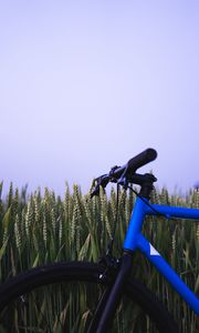 Preview wallpaper bike, ears, steering wheel, sky