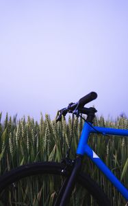 Preview wallpaper bike, ears, steering wheel, sky