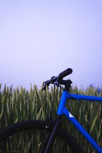 Preview wallpaper bike, ears, steering wheel, sky