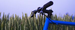 Preview wallpaper bike, ears, steering wheel, sky