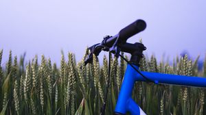 Preview wallpaper bike, ears, steering wheel, sky