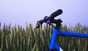 Preview wallpaper bike, ears, steering wheel, sky