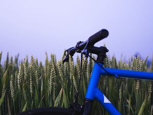 Preview wallpaper bike, ears, steering wheel, sky