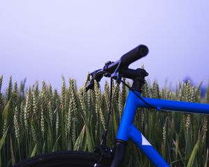 Preview wallpaper bike, ears, steering wheel, sky