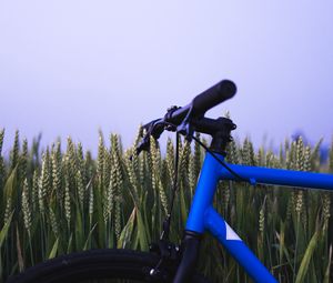 Preview wallpaper bike, ears, steering wheel, sky