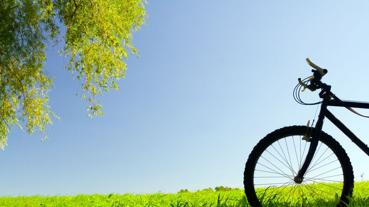 Wallpaper bike, field, grass, trees