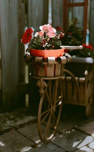 Preview wallpaper bike, flowers, pot, decoration