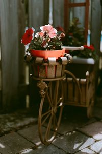 Preview wallpaper bike, flowers, pot, decoration