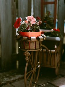 Preview wallpaper bike, flowers, pot, decoration