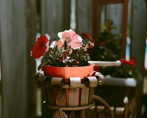 Preview wallpaper bike, flowers, pot, decoration